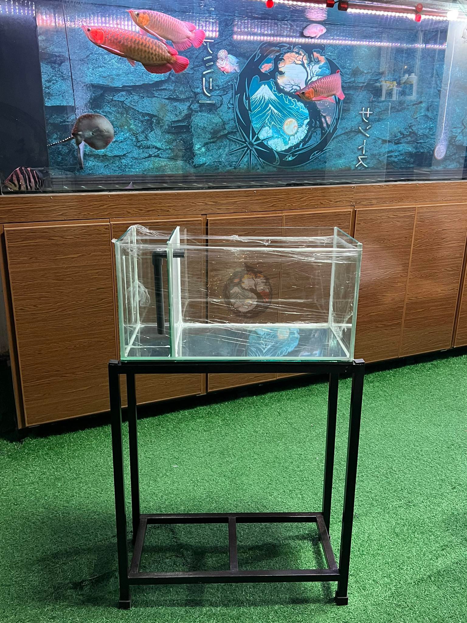 All-In-One aquarium setup on a custom stand, in-store