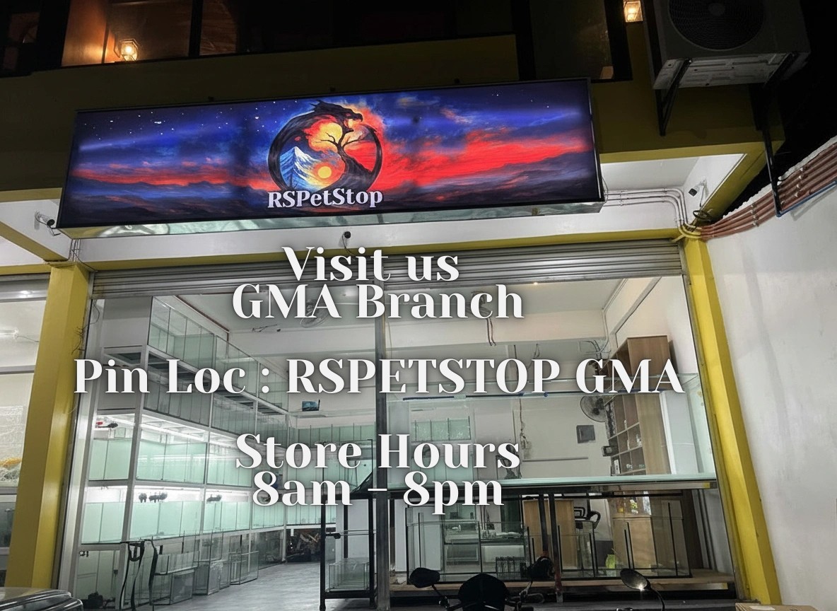 RS Pet Stop GMA branch storefront