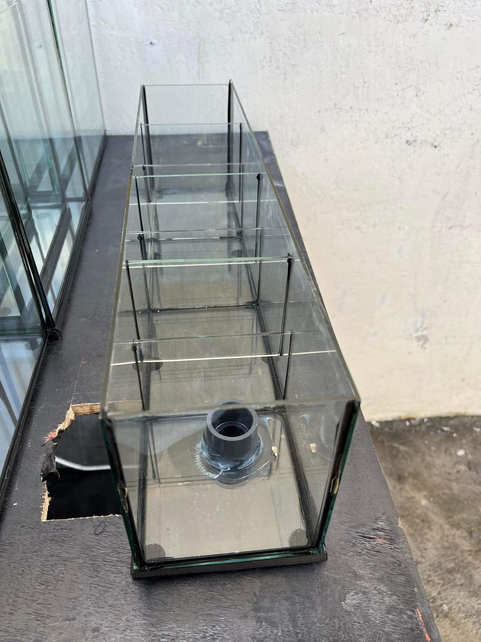 Custom glass sump filtration build